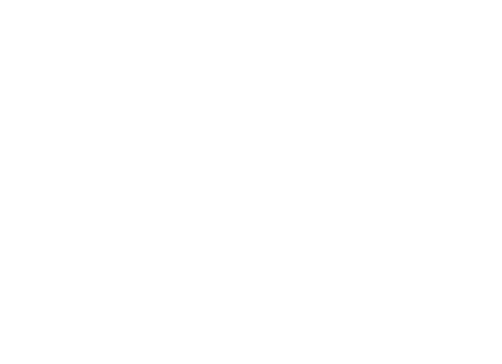 Novel_logo