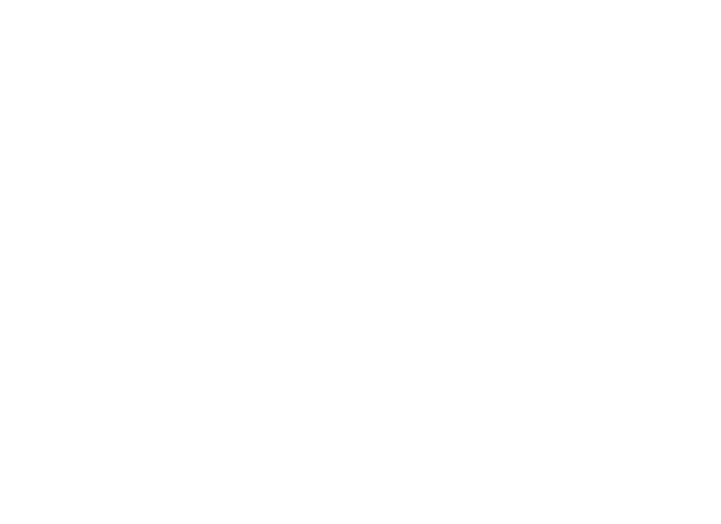 leibish_logo
